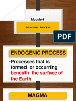 Module 4 Endogenic Processes PDF