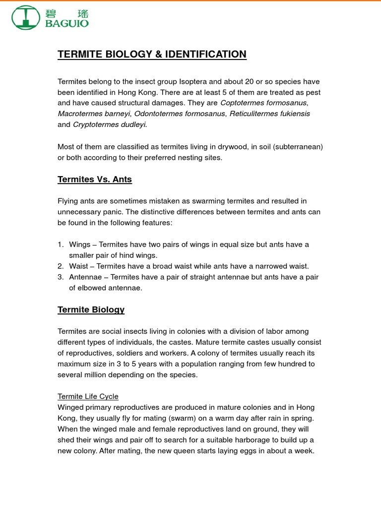 Termite Biology PDF | PDF | Eusociality | Ant