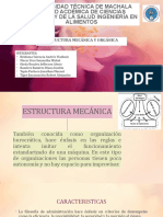 Diapo de Estructura y Organizacion - Ae