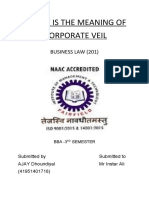 What Is The Meaning of Corporate Veil: Business Law