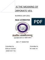What Is The Meaning of Corporate Veil: Business Law