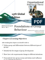 Foundation of Group Behaviour S