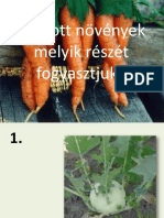 A Látott Növények Melyik Részét Fogyasztjuk?