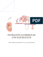 Filtración Glomerular Con Elecrolitos