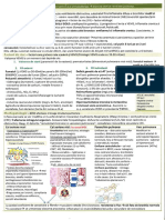 Rezumate Rezi PDF