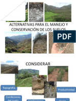 Presentacion Alternativas de Manejo PDF