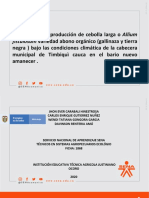 Manejo Del Cultivo de Cebolla Larga. Grupo Enrique PDF