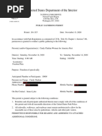 Permit For "Million MAGA March"