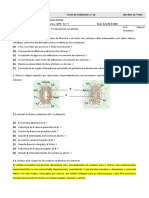 TrocasGasosasJoana10C.docx