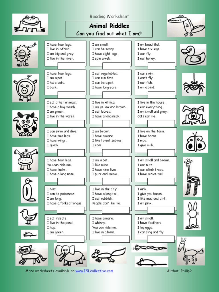 Animal Riddles Reading Worksheet | PDF | Organisms | Nature