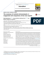 The Anatomy of Cerebral Achromatopsia: A Reappraisal and Comparison of Two Case Reports