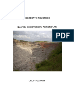 Croft Quarry Geodiversity Action Plan