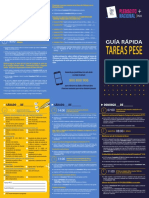 Triptico PESE - Plebiscito 2020 PDF