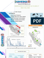 Zoonosis Rabia y Brucelosis