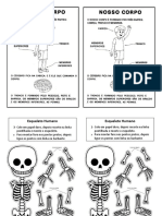 Corpo Humano