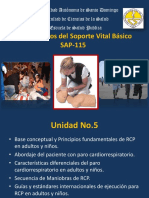 Fundamentos Del Soporte Vital Basico