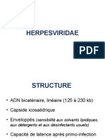 3 Herpesviridae