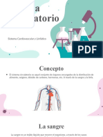 Sistema Circulatorio