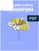 Cópia de Descomplicando - Neuroanatomia PDF