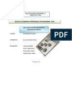 Informe Del Ensay1