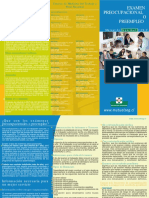 Examen Preocupacioales PDF