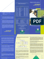 Triptico PECv2 PDF