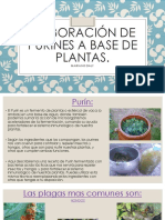 Purines PDF