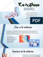 La Oxitócina PDF