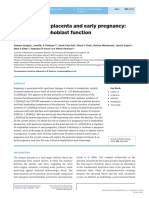 (14796805 - Journal of Endocrinology) Vitamin D, The Placenta and Early Pregnancy - Effects On Trophoblast Function