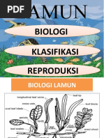 Jenis-Jenis Lamun di Indonesia | PDF