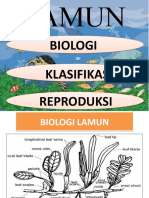 Klasifikasi Dan Repro Lamun