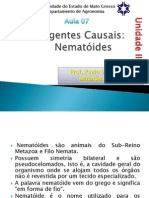 Aula 07 - Agentes Causais Nematoides