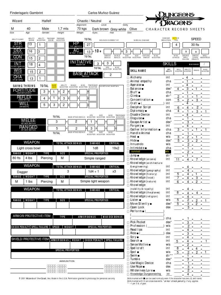 Dungeons And Dragons 3rd Edition Character Sheet Pdf Role Playing Games Dungeons Dragons