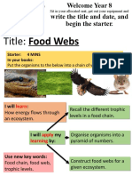 Title: Food Webs: Starter: 4 Mins in Your Books