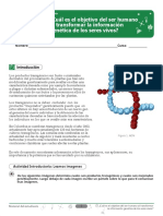 TALLER DBA 5 Cuál Es El Objetivo Del Ser Humano Al Transformar La Información Genética de Los Seres Vivos