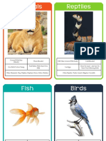 Animal Classification Cards