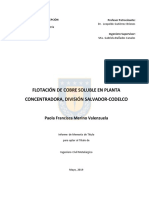 Tesis Flotacion de Cobre Soluble en Planta Concentradora - Image.Marked PDF
