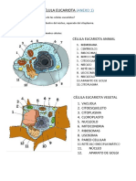 ANEXO 1. CÉLULA EUCARIOTA Corregido