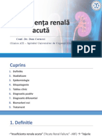 Insuficienta Renala Acuta