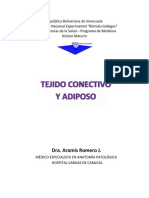 Guía Práctica, N°2, Tejido Conectivo y Adiposo, Nro. 2 PDF