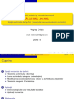 Curs02 ManipulareaCoordonatelorVectorilor PDF