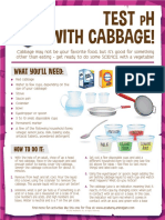 Test pH with Cabbage!