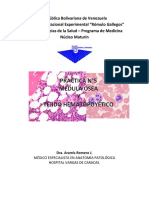 Guía Práctica, N°5, Médula Ósea y Tejido Hematopoyético.pdf