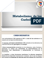 U1. Metabolismo de Carbohidratos PDF