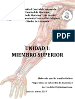 Miembro Superior, UCV Anatomía 