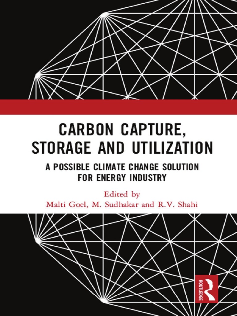 Dokumen - Pub - Carbon Capture Storage and Utilization A Possible ...