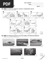 Unit 1 Test A Bugs Team 2 | PDF