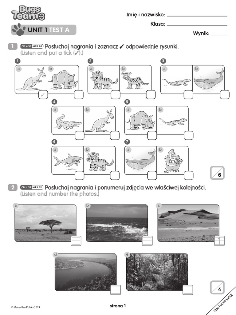 Unit 1 Test A Bugs Team 3 | PDF
