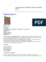 Sistema Nacional Argentino de Vigilancia y Monitoreo de Plagas - Raphanus Sativus - 2014-10-22