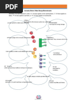 amoeba-sisters-biomolecules-pdf-biomolecules-lipid